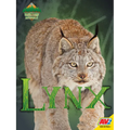 Lynx