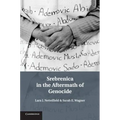 Srebrenica in the Aftermath of Genocide