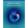 Mammalian Development: Networks, Switches, and Morphogenetic Processes