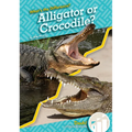 Alligator or Crocodile?