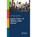 A Study Guide for James Frey's "A Million Little Pieces"
