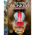 Old World Monkeys