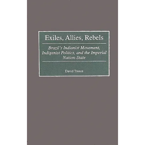 Exiles, Allies, Rebels: Brazil's Indianist Movement, Indigenist Politics, and the Imperial Nation-State
