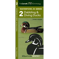 Waterfowl Id Series: 2 Dabbling & Diving Ducks