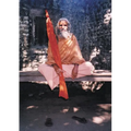 Dandi Swami: The Story of the Guru's Will, Maharishi Mahesh Yogi, the Shankaracharyas of Jyotir Math, & Meetings with Dandi Swami N