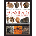 The Illustrated Guide to Fossils & Fossil Collecting: A Reference Guide to Over 375 Plant and Animal Fossils from Around the Globe and How to Identify