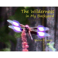 The Wilderness in My Backyard