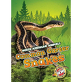 Common Garter Snakes