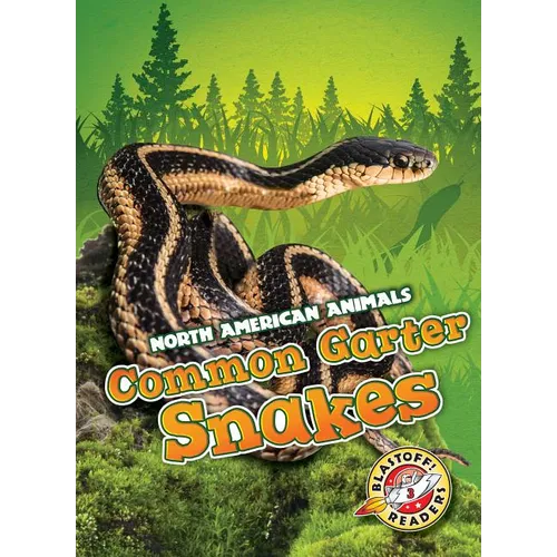 Common Garter Snakes