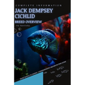 Jack Dempsey Cichlid: From Novice to Expert. Comprehensive Aquarium Fish Guide