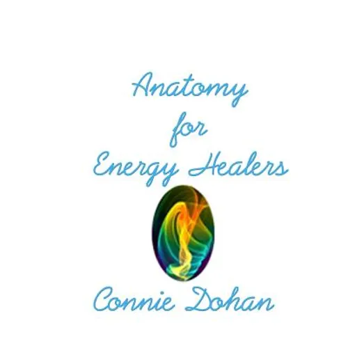 Anatomy for Energy Healers