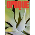 Stephie Braun: Opaque