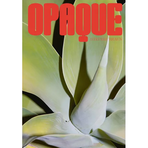 Stephie Braun: Opaque