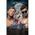 Declan's Omegas: An Urban Fantasy MMM Wolf Shifter MPreg Romance