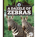 A Dazzle of Zebras