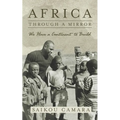 Africa: Through a Mirror: We have a Continent to Build