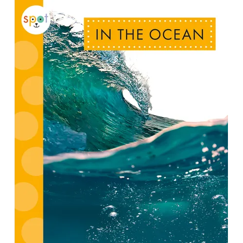 In the Ocean