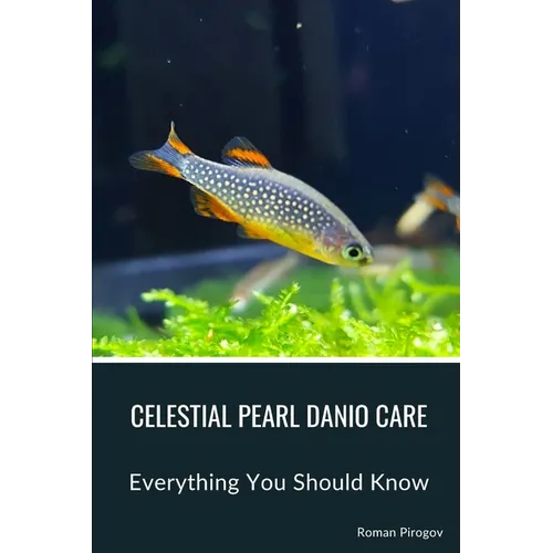Celestial Pearl Danio Care: Everything You Should Know