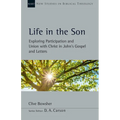 Life in the Son: Exploring Participation and Union with Christ in John's Gospel and Letters Volume 61