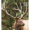 Elk