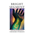 Bright Segment