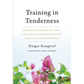 Training in Tenderness: Buddhist Teachings on Tsewa, the Radical Openness of Heart That Can Change the World