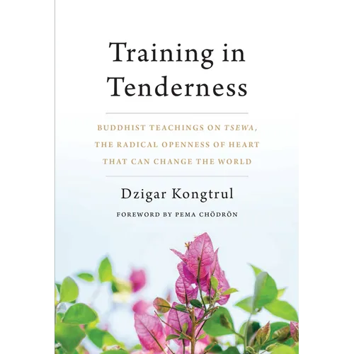 Training in Tenderness: Buddhist Teachings on Tsewa, the Radical Openness of Heart That Can Change the World