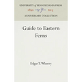 Guide to Eastern Ferns