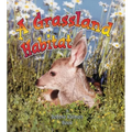 A Grassland Habitat