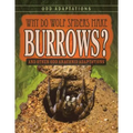 Why Do Wolf Spiders Make Burrows?: And Other Odd Arachnid Adaptations