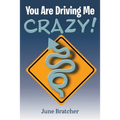 You Are Driving Me Crazy!