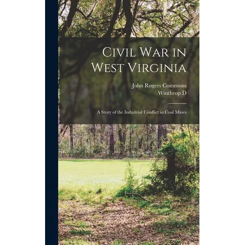 Civil war in West Virginia; a Story of the Industrial Conflict in Coal Mines