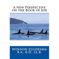 A New Perspective on the Book of Job