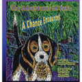 The Adventures of Poko - A Chance Encounter