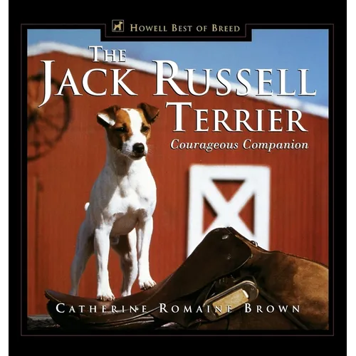 The Jack Russell Terrier: Courageous Companion