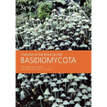 Checklist of the British & Irish Basidiomycota
