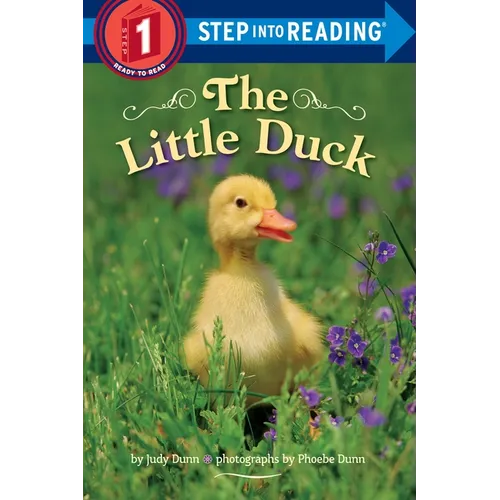 The Little Duck