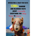Interesting & Crazy Fun Facts: 1200+ Random And Hilarious Facts About Literally Everything You May Want To Know