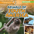 Animals of South America