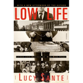 Low Life: Lures and Snares of Old New York