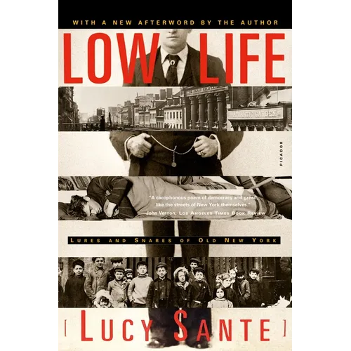 Low Life: Lures and Snares of Old New York