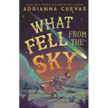 What Fell from the Sky