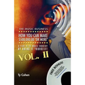 The Music Business: How You Can Make $500,000.00 (or More) a Year in the Music Industry by Doing It Yourself! Volume II