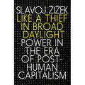 Like a Thief in Broad Daylight: Power in the Era of Post-Human Capitalism