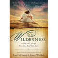In the Wilderness: Finding God's Strength When Your World Falls Apart