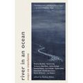 River in an Ocean: Essays on Translation
