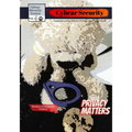 Cybear Security: Privacy Matters