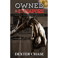 Owned In Singapore: Gay Submission Erotica