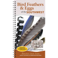 Bird Feathers & Eggs of the Southwest: Identify 40 Species of Common Backyard Birds