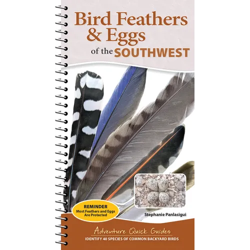 Bird Feathers & Eggs of the Southwest: Identify 40 Species of Common Backyard Birds